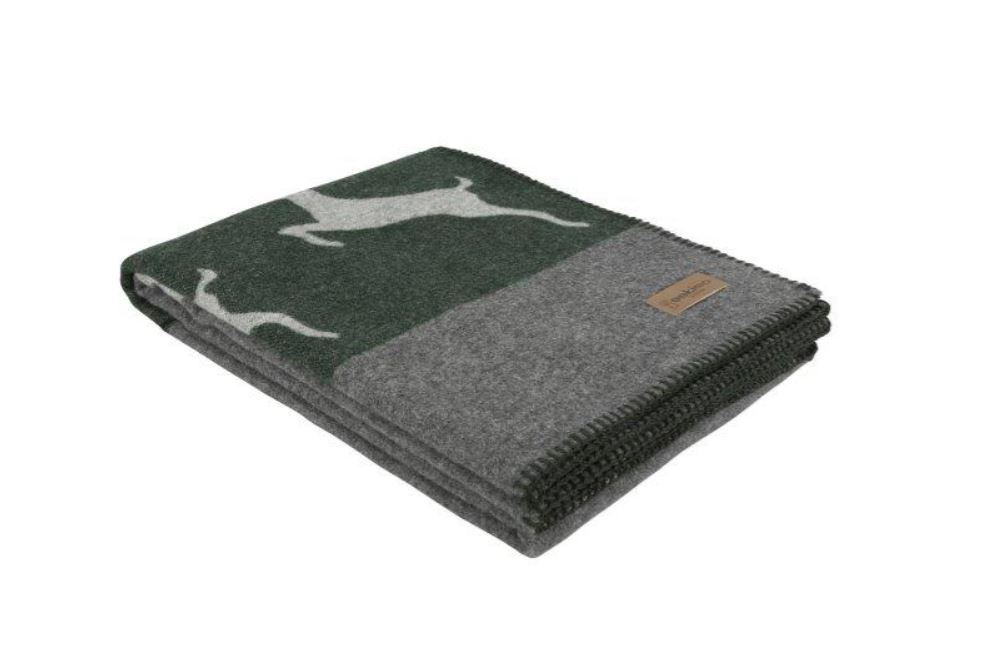 sedrun_decke_gruen_01